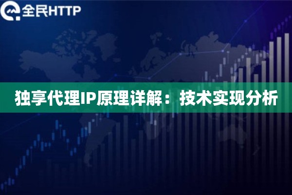 独享代理IP原理详解：技术实现分析