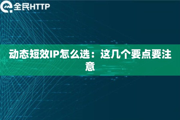 动态短效IP怎么选：这几个要点要注意