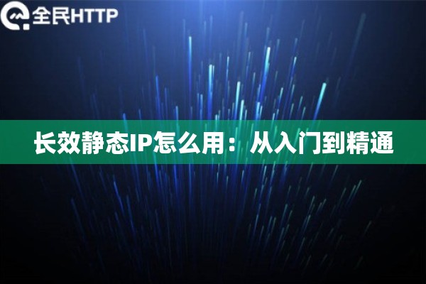 长效静态IP怎么用：从入门到精通