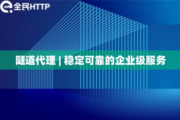 隧道代理 | 稳定可靠的企业级服务