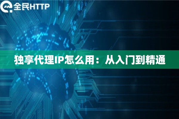 独享代理IP怎么用：从入门到精通