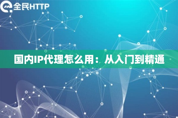 国内IP代理怎么用：从入门到精通