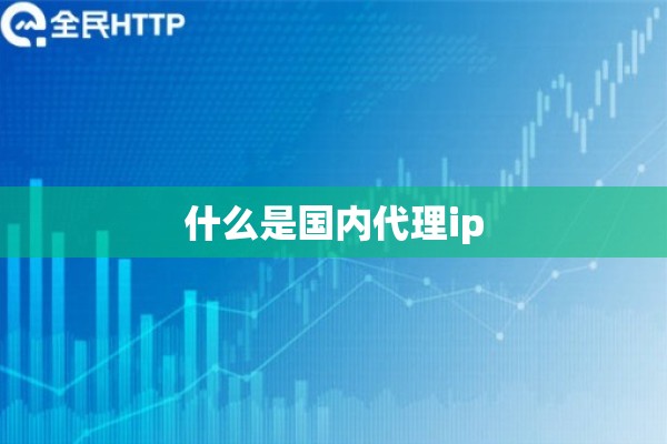 什么是国内代理ip