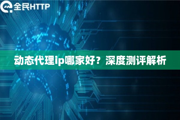 动态代理ip哪家好？深度测评解析