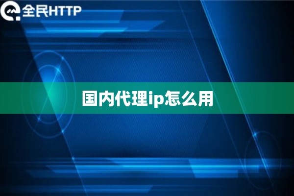 国内代理ip怎么用