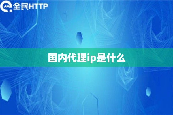 国内代理ip是什么
