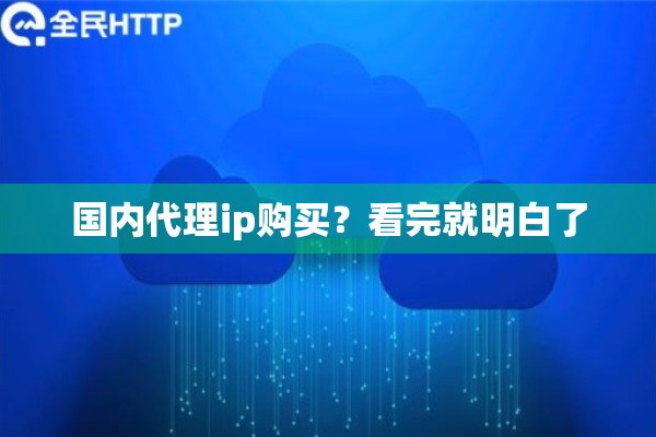 国内代理ip购买？看完就明白了