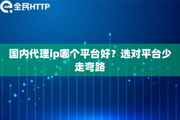 国内代理ip哪个平台好？选对平台少走弯路