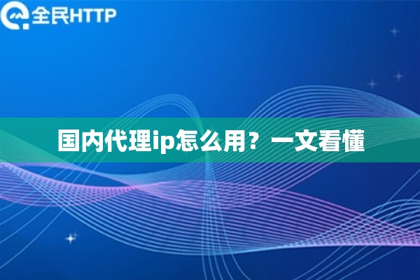 国内代理ip怎么用？一文看懂