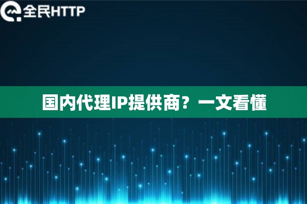 国内代理IP提供商？一文看懂
