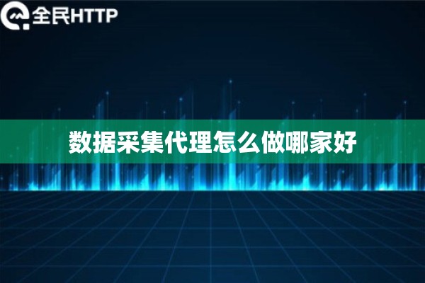 数据采集代理怎么做哪家好