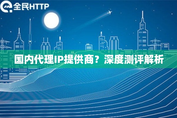 国内代理IP提供商？深度测评解析