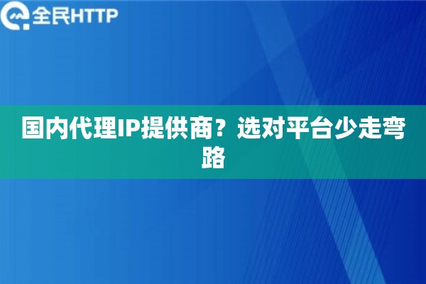 国内代理IP提供商？选对平台少走弯路