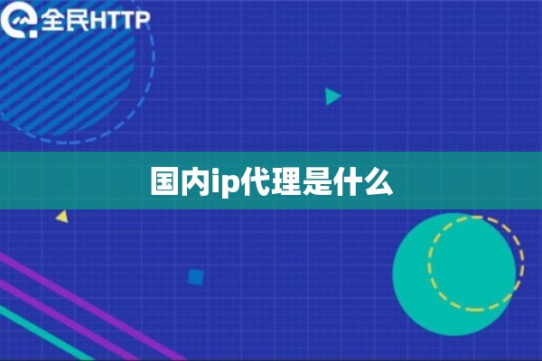国内ip代理是什么