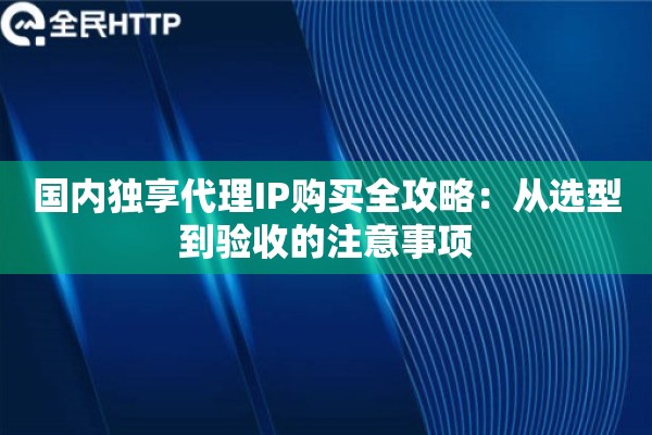 国内独享代理IP购买全攻略：从选型到验收的注意事项