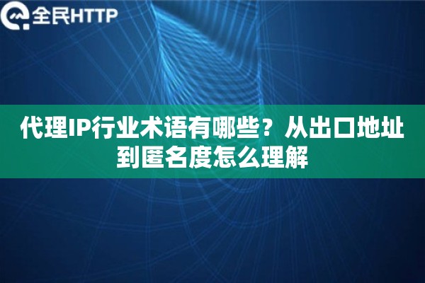 代理IP行业术语有哪些？从出口地址到匿名度怎么理解