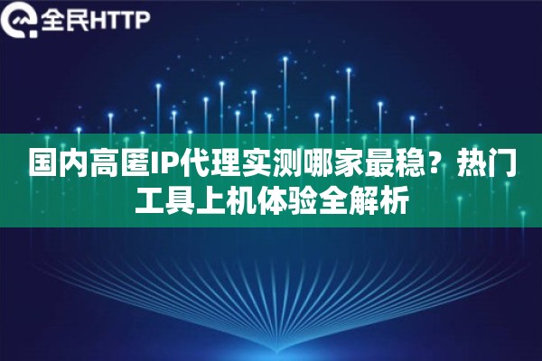 国内高匿IP代理实测哪家最稳？热门工具上机体验全解析