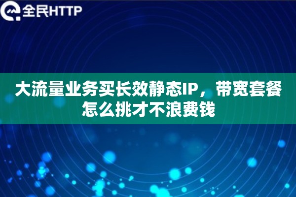 大流量业务买长效静态IP，带宽套餐怎么挑才不浪费钱