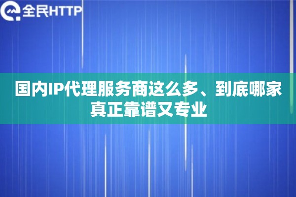 国内IP代理服务商这么多、到底哪家真正靠谱又专业