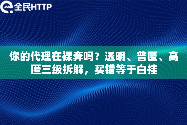 你的代理在裸奔吗？透明、普匿、高匿三级拆解，买错等于白挂