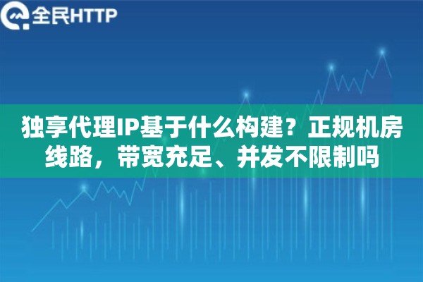 独享代理IP基于什么构建？正规机房线路，带宽充足、并发不限制吗