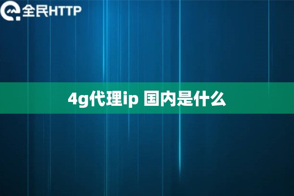 4g代理ip 国内是什么