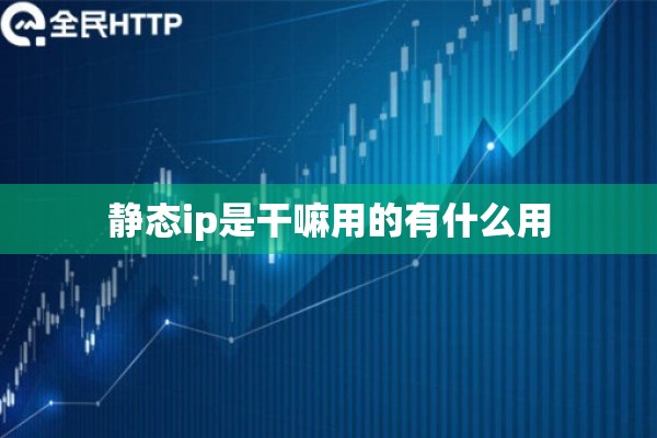 静态ip是干嘛用的有什么用