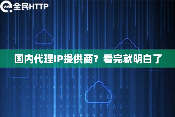 国内代理IP提供商？看完就明白了