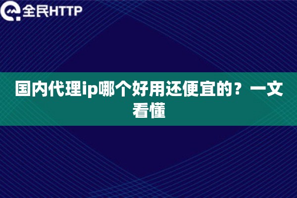 国内代理ip哪个好用还便宜的？一文看懂