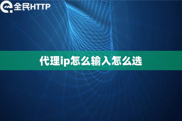 代理ip怎么输入怎么选
