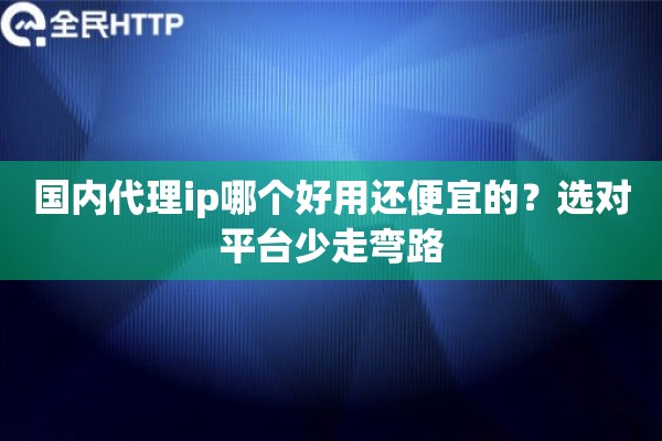 国内代理ip哪个好用还便宜的？选对平台少走弯路
