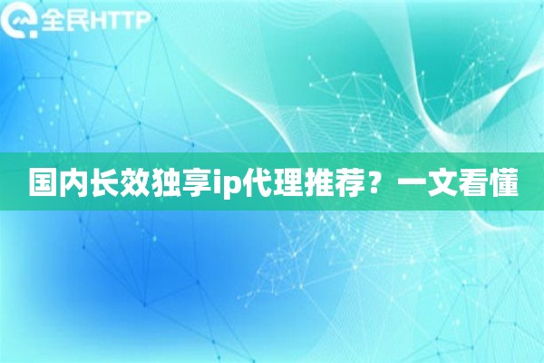 国内长效独享ip代理推荐？一文看懂