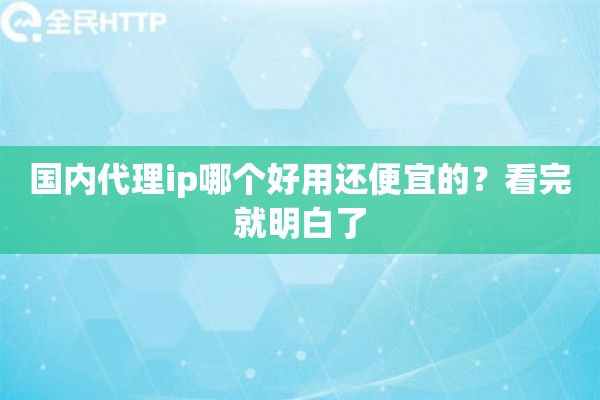 国内代理ip哪个好用还便宜的？看完就明白了