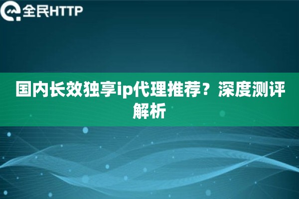 国内长效独享ip代理推荐？深度测评解析