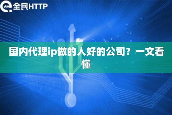 国内代理ip做的人好的公司？一文看懂