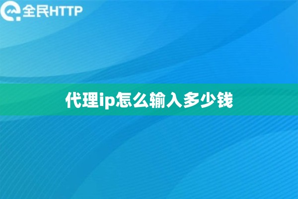 代理ip怎么输入多少钱