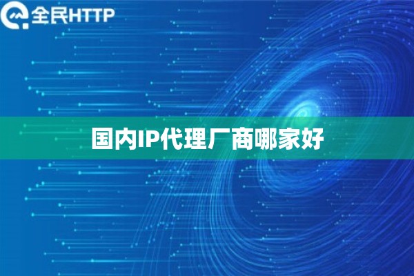 国内IP代理厂商哪家好