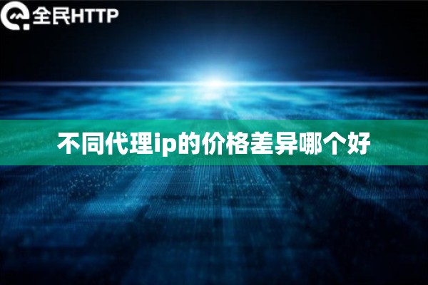 不同代理ip的价格差异哪个好