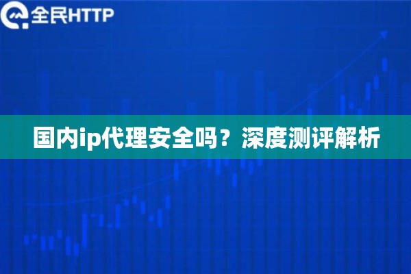 国内ip代理安全吗？深度测评解析