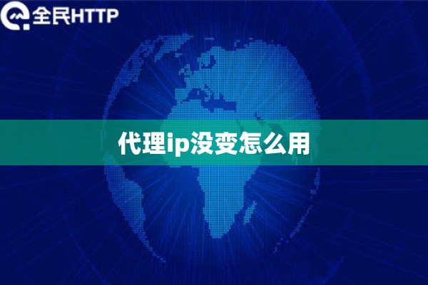 代理ip没变怎么用
