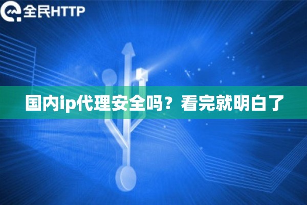 国内ip代理安全吗？看完就明白了
