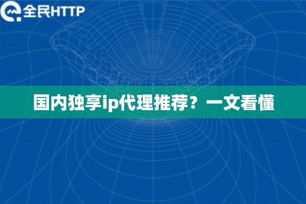 国内独享ip代理推荐？一文看懂