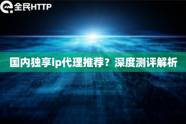 国内独享ip代理推荐？深度测评解析