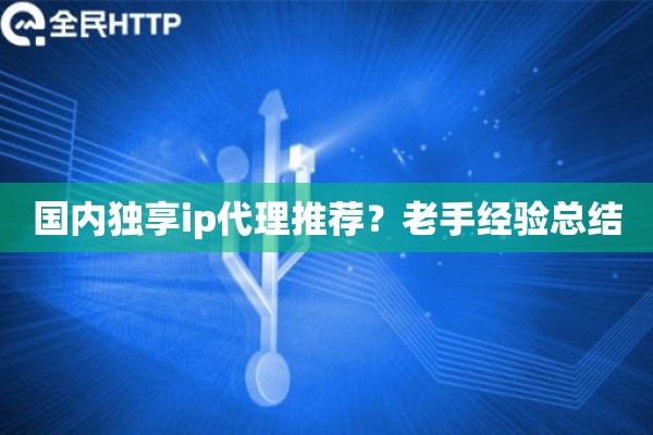 国内独享ip代理推荐？老手经验总结