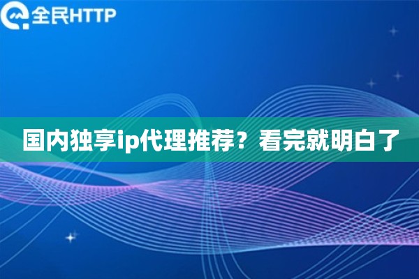 国内独享ip代理推荐？看完就明白了