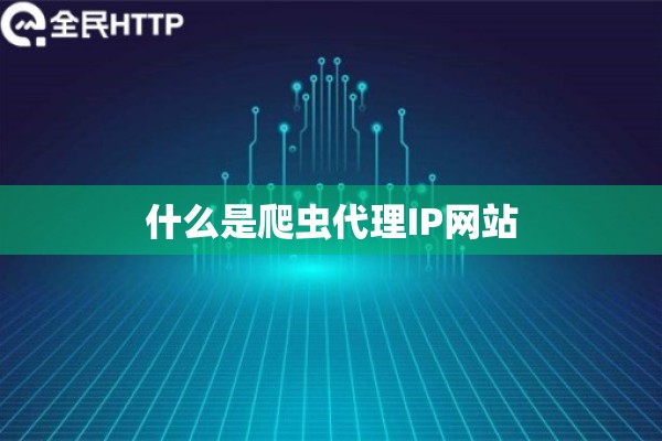 什么是爬虫代理IP网站
