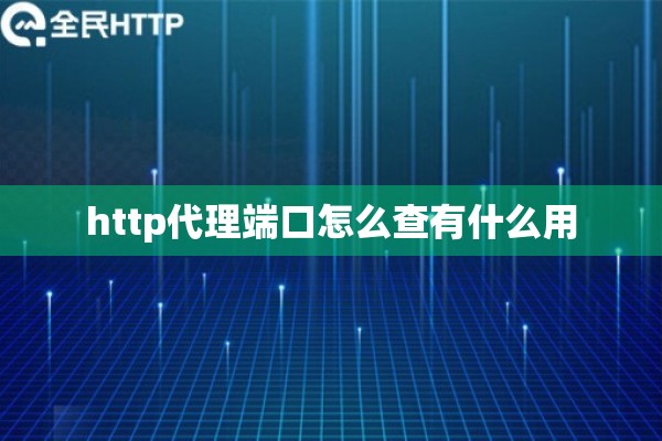 http代理端口怎么查有什么用