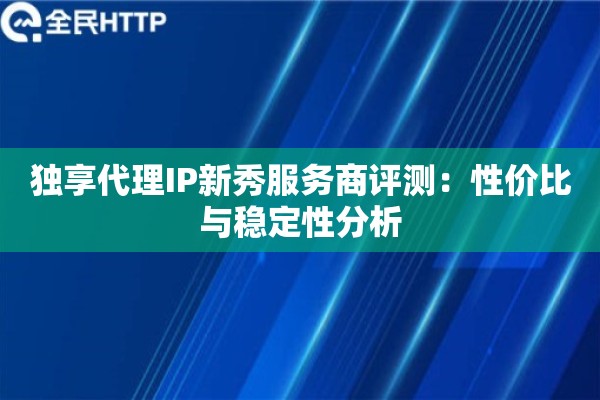 独享代理IP新秀服务商评测：性价比与稳定性分析