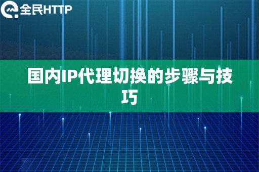 国内IP代理切换的步骤与技巧