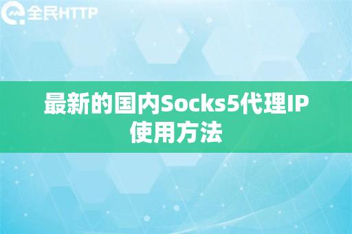 最新的国外Socks5代理IP使用方法